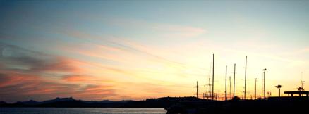 Managment and international business development